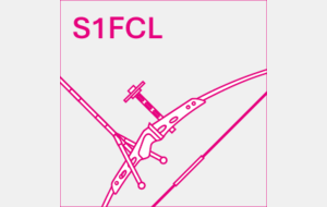 S1 Femme Arc Classique (Re-curve)