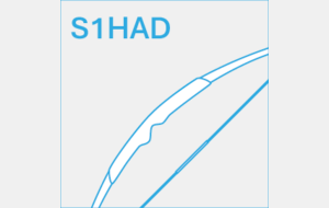 S1 Homme Arc Droit (Longbow)