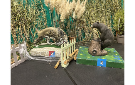 Le Tir 3D Indoor : une aventure immersive à découvrir absolument, allons en forêt… sans quitter la salle !