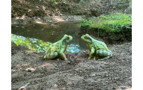 Une parenthèse hors du temps au cœur de la forêt d’Offlanges