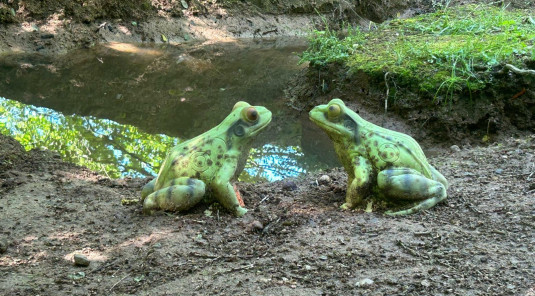 Une parenthèse hors du temps au cœur de la forêt d’Offlanges